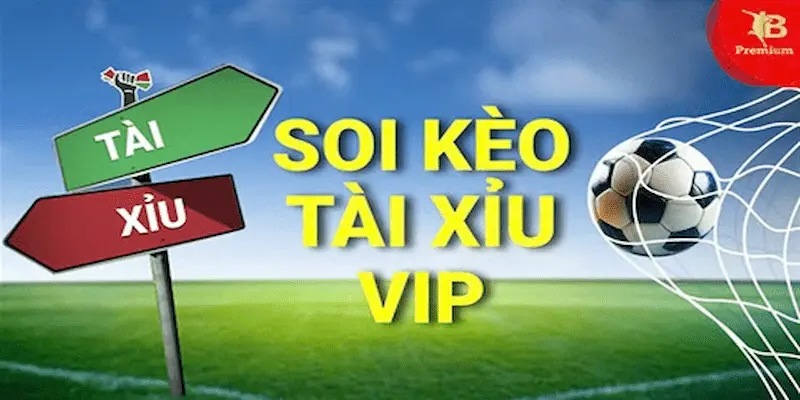 Soi kèo tài xỉu Tầm quan trọng của Soi kèo tài xỉu